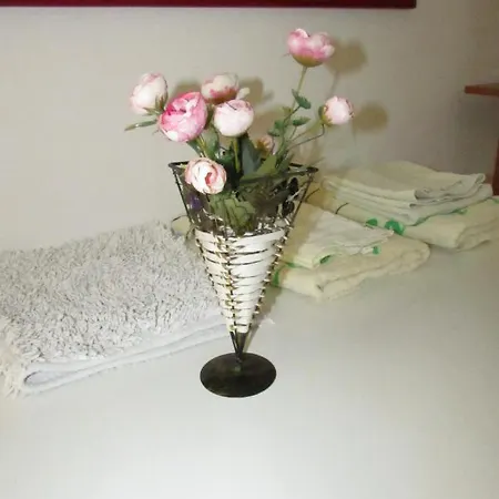 Guest house Center