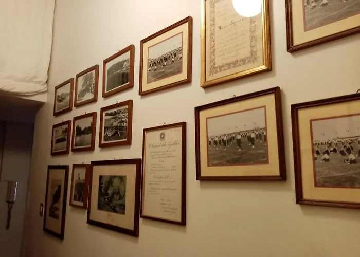 Center Guest house *